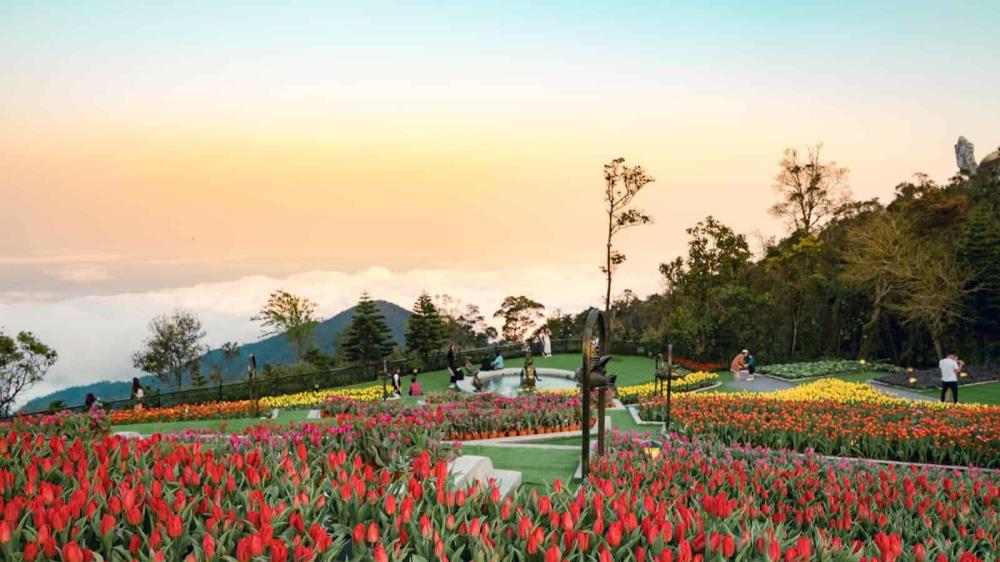 Vườn hoa Le Jardin D'Amour Đà Nẵng