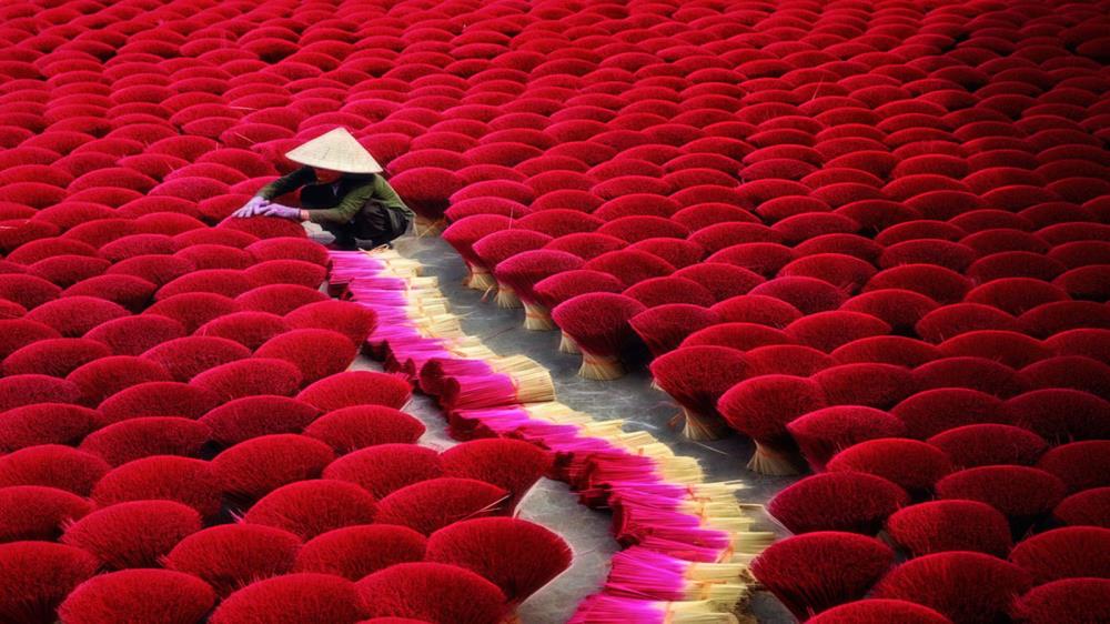 Làng hương Phú Lộc Quảng Nam