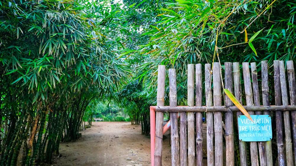 Sơn Trà Tịnh Viên Đà Nẵng