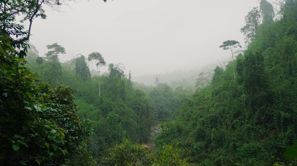 Khu dự trữ sinh quyển Kon Hà Nừng Gia Lai