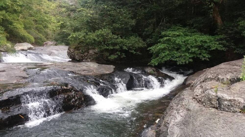 Vườn Quốc gia Phước Bình Ninh Thuận