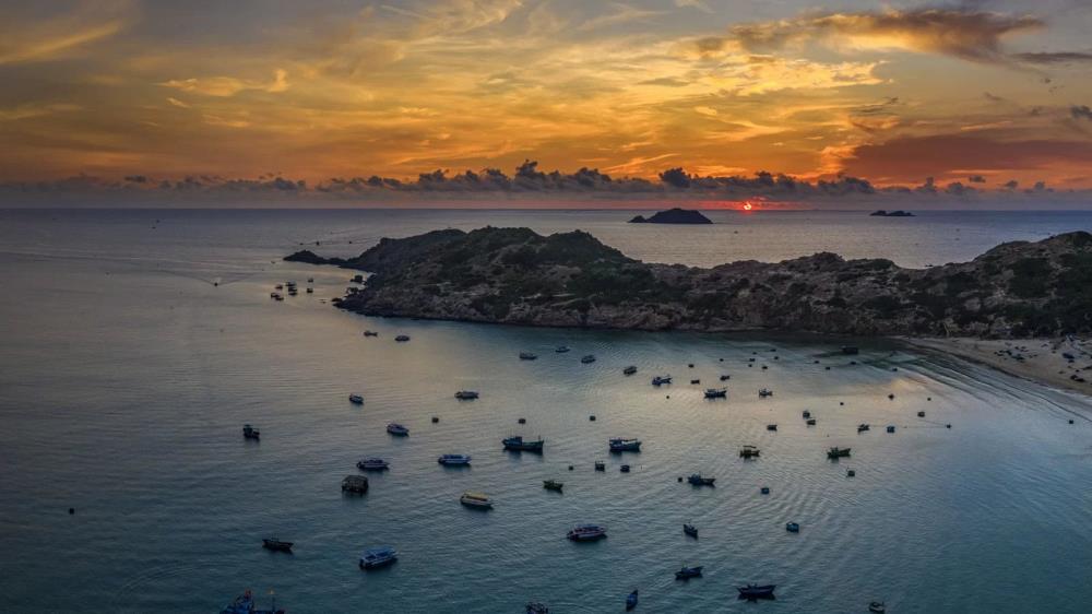 Bãi Dại Quy Nhơn