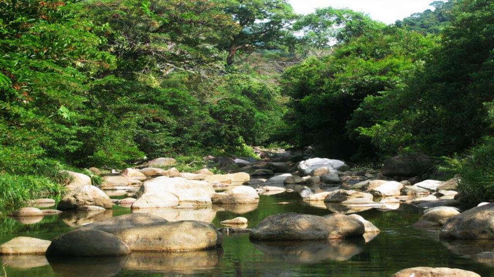 Thác Đổ Bình Định