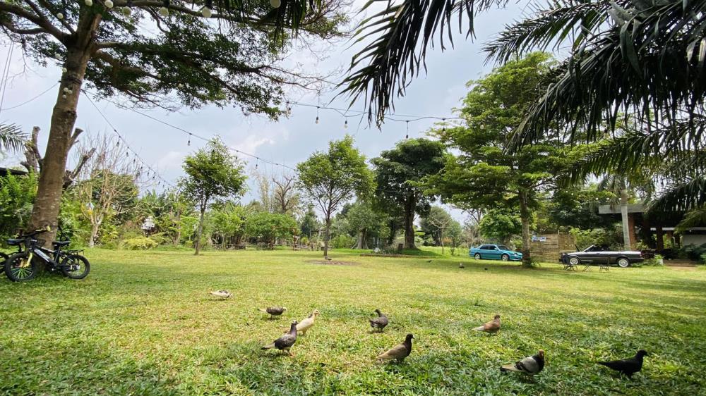Farm Vườn Hồng Gia Lai