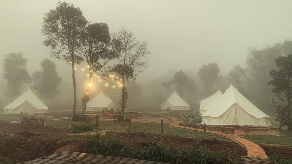 Phú Yên Camping Trip