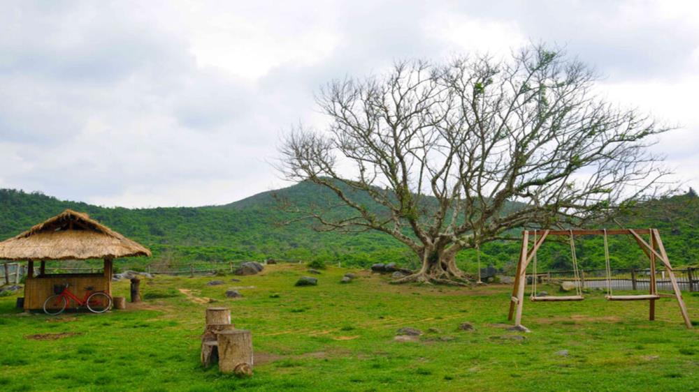 B&U Farm Phú Yên