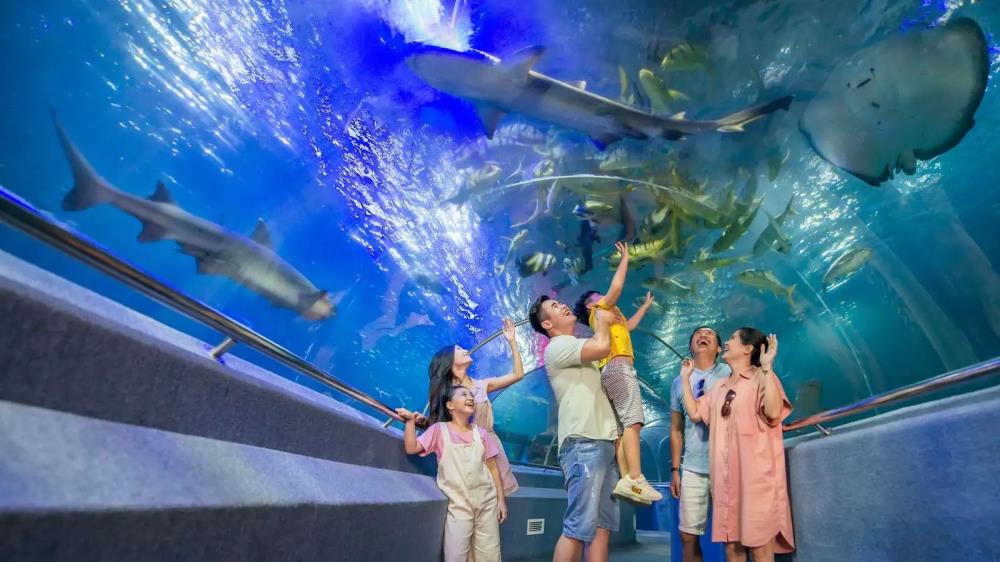 Viện Hải dương học Nha Trang