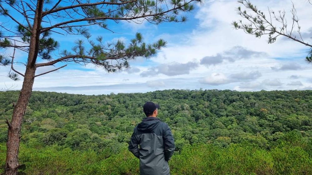 Đồi thông Y Nuê Đắk Lắk