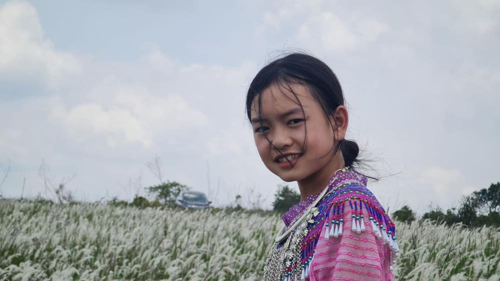 Đồi cỏ tranh Đắk Nông