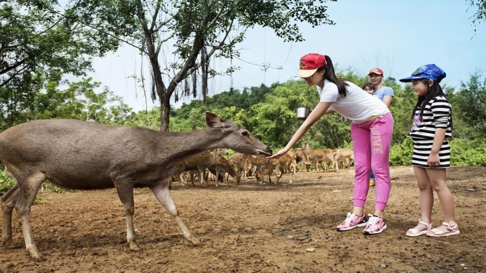 Khu du lịch Madagui Lâm Đồng