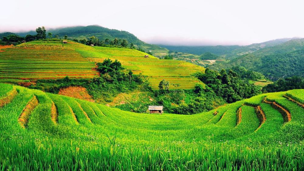 Tả Giàng Phình Sapa