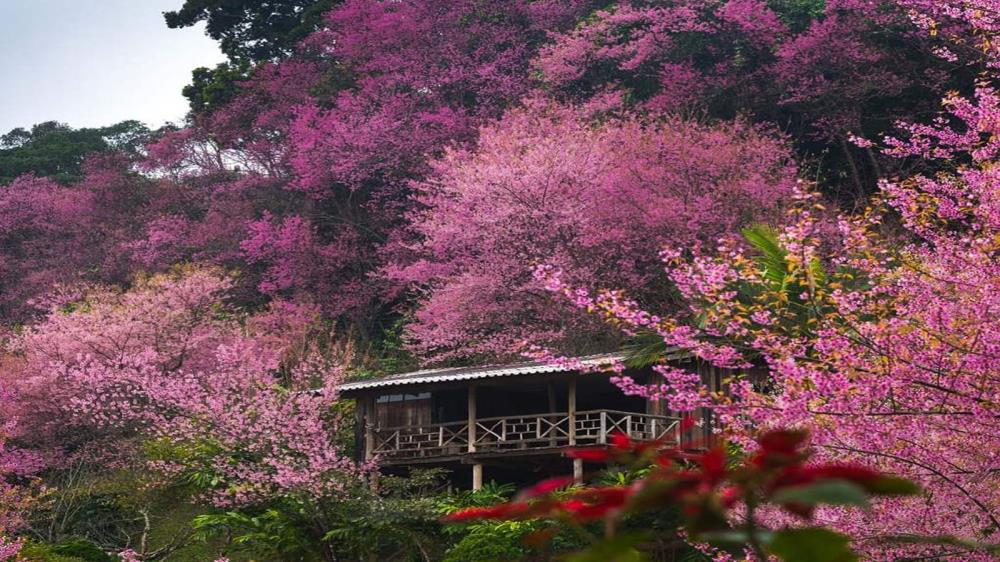 Mộng Đào Nguyên Đà Lạt