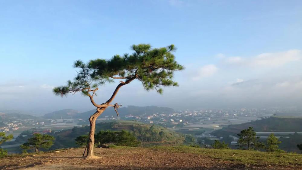 Đồi Thiên Phúc Đức Đà Lạt