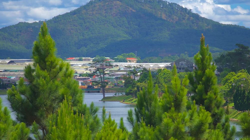 Nông trại cún Black Rock Garden Đà Lạt