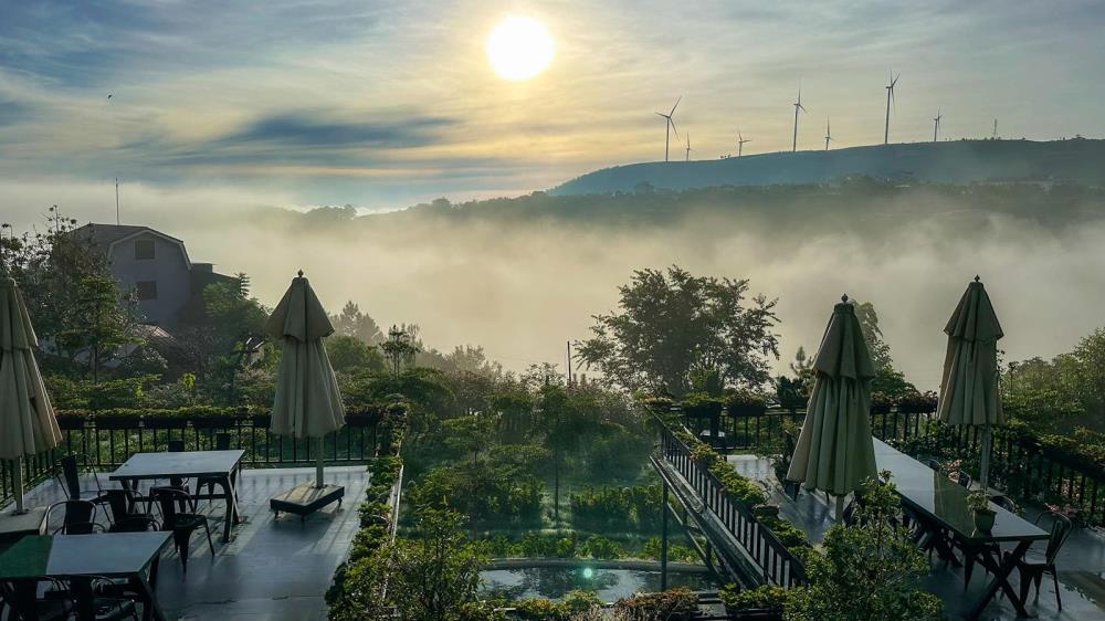 Mộc Trà Farm Đà Lạt