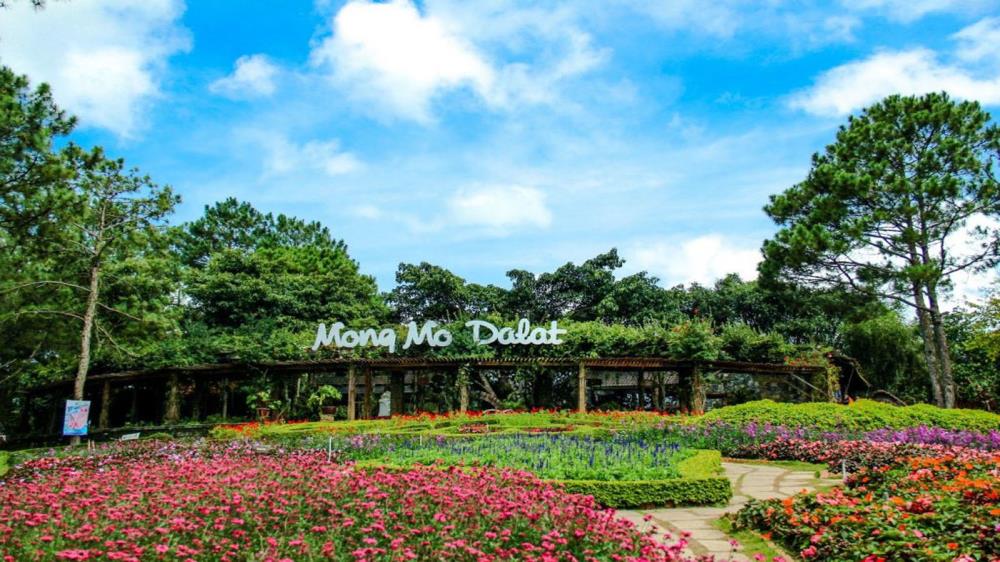 Đồi Mộng Mơ Đà Lạt