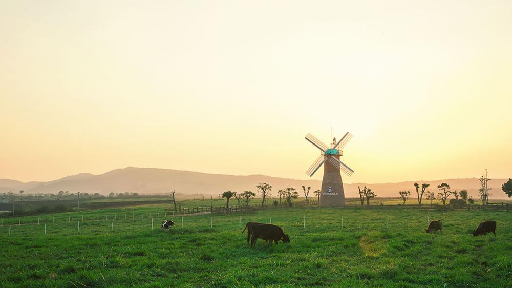 Vinamilk Organic Farm Đà Lạt