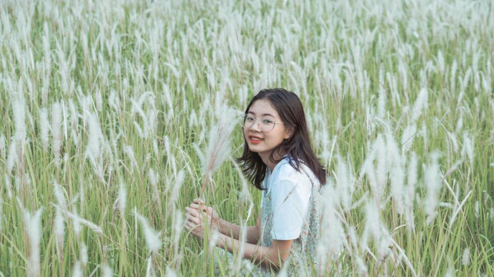 Đồi cỏ tranh Lạc Dương Đà Lạt