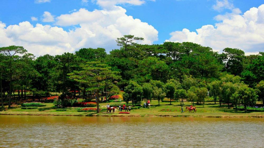 Đồi thông hai mộ Đà Lạt