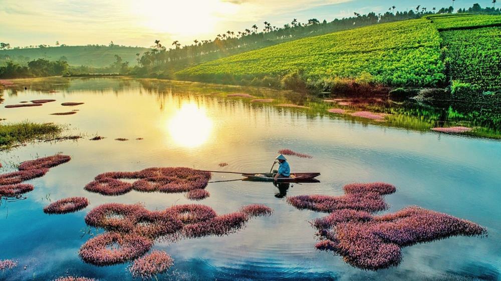 Hồ Tảo Hồng Bảo Lộc