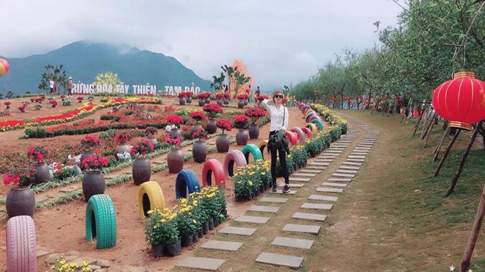 Vườn hoa Tây Thiên Tam Đảo