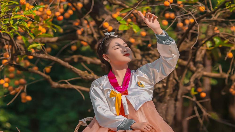 Cây hồng cổ Ninh Bình
