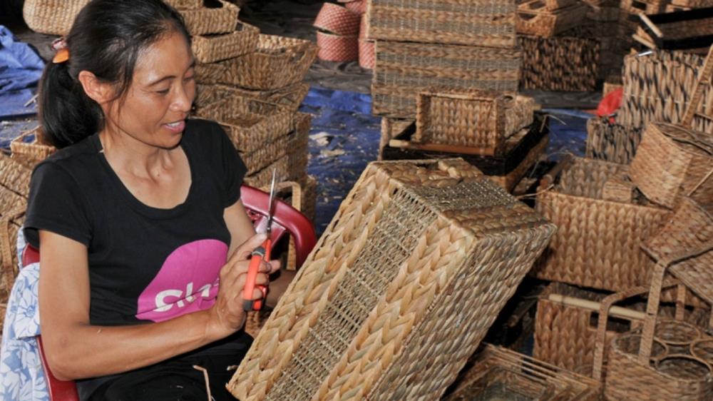 Làng nghề cói Kim Sơn Ninh Bình