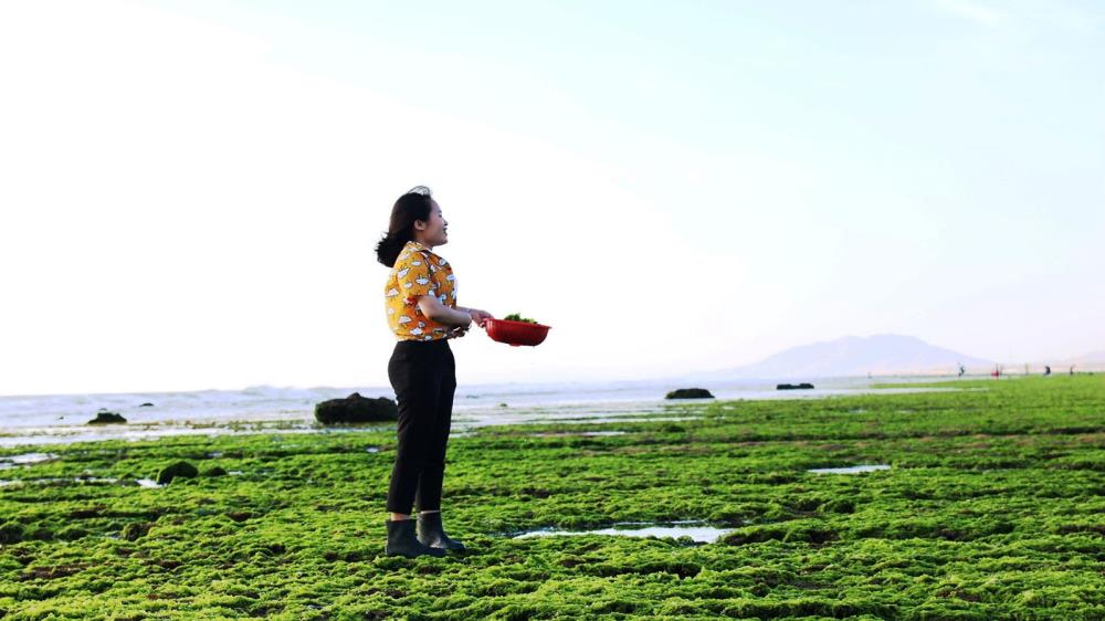 Bãi rêu xanh làng Từ Thiện Ninh Thuận