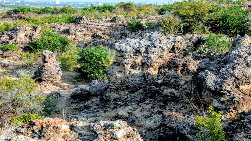 Bãi đá Karang Ninh Thuận