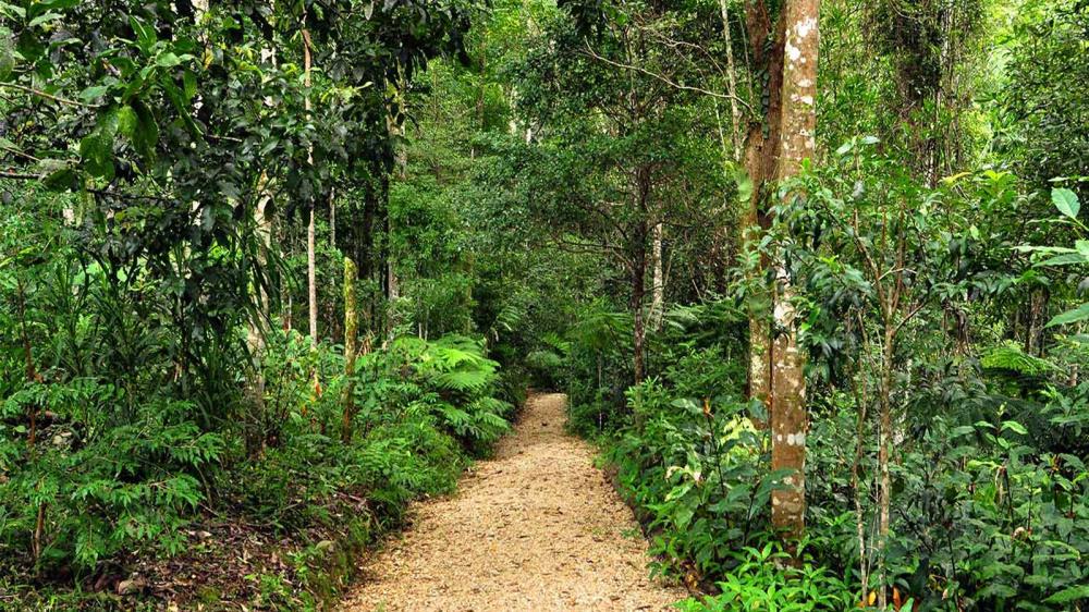 Rừng Mã Đà Đồng Nai
