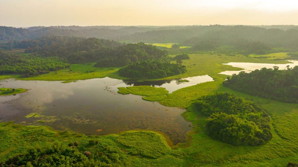Bàu Sấu Đồng Nai