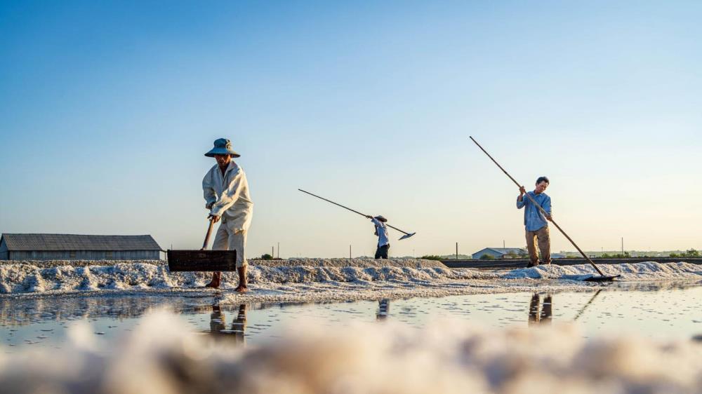 Ruộng muối Long Điền Vũng Tàu