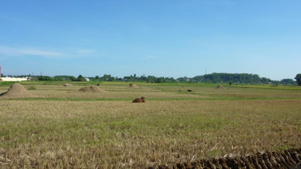 Khu di tích khảo cổ Cù Lao Rùa Bình Dương