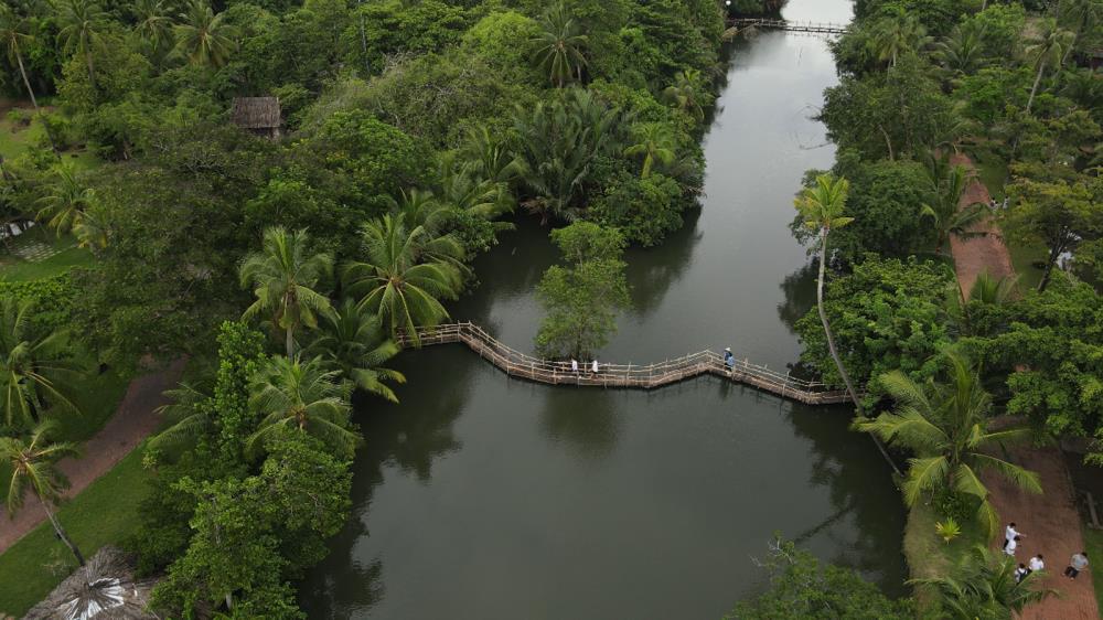 Khu du lịch Bình Quới TP Hồ Chí Minh
