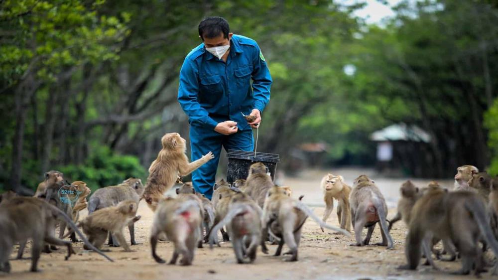 Đảo khỉ Cần Giờ TP Hồ Chí Minh
