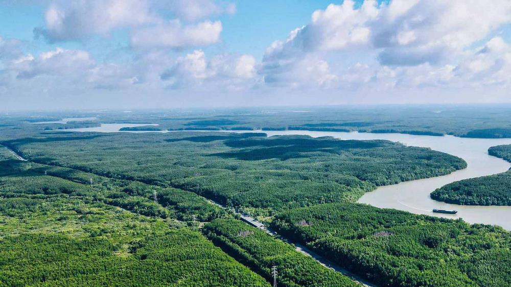 Rừng Sác Cần Giờ TP Hồ Chí Minh