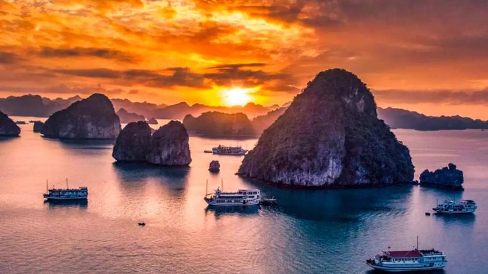 Hạ Long