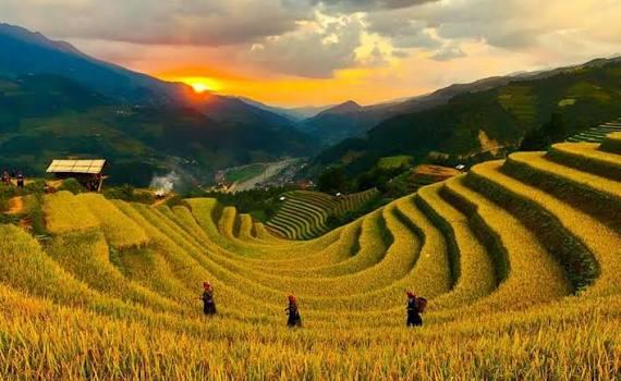 Đồi Móng Ngựa