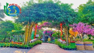 Thành Đạt Resort Cần Thơ
