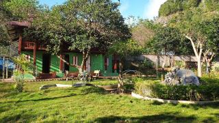 Sakura House - Hoa Ban Mộc Châu