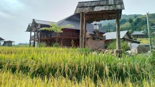 H'mong Eco House Homestay Lào Cai