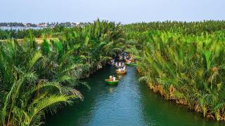 Đà Nẵng - Rừng Dừa Bảy Mẫu 1 ngày