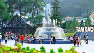 Hà Nội - Tam Đảo 1 ngày