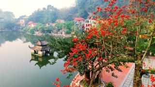 Chùa Thầy - Chùa Tây Phương - Chùa Trăm Gian 1 Ngày
