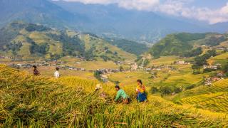 Hà Nội - Sapa - Bắc Hà 3 Ngày 2 Đêm