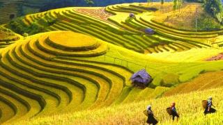 Hà Nội - Sapa 2 Ngày 1 Đêm