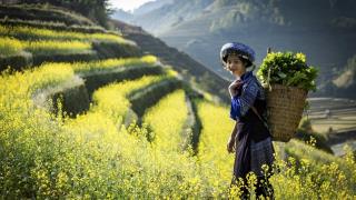 Hà Nội - Hà Giang - Sapa 5 Ngày 4 Đêm