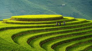 Tây Bắc: Hà Nội - Sapa - Lai Châu - Điện Biên - Mộc Châu - Mai Châu 4 Ngày 3 Đêm