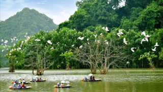 Hà Nội - Thung Nham Ninh Bình 1 Ngày