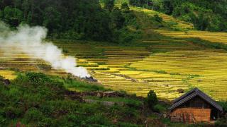 TP. Hồ Chí Minh - Bắc Hà - Đền Bảo Hà - Hoàng Su Phì 4 ngày 4 đêm